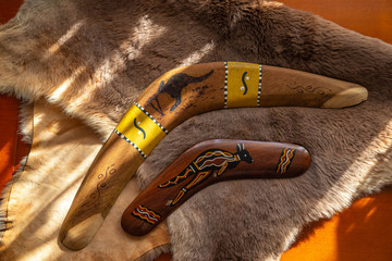 Two old boomerangs laying on the kangaroo skin, fur with wooden glossy table in the background. Souvenirs from Australia on display, shallow depth of field, warm colors