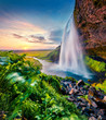 Populat tourist attraction - Seljalandsfoss, where tourists can walk behind the falling waters. Incredible summer scene of Iceland, Europe. Beauty of nature concept background.