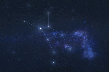 Wall Mural - wolf constellation stars in outer space. lupus constellation lines. elements of this image were furn