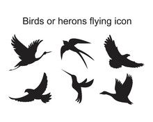Bird Or Herons Flying Icon Template Black Color Editable. Bird Or Herons Flying Icon Symbol Flat Vector Illustration For Graphic And Web Design.