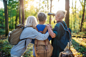 Wall Mural - Rear view of senior women friends outdoors in forest, using binoculars.