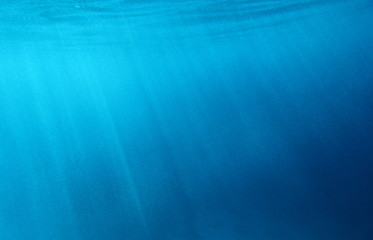 the texture of the underwater surface with the rays of the sun