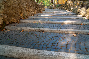 Wall Mural - Weathered stone stairs with a fallen fall leaves, Rome