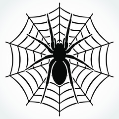 silhouette spider on web / vector illustration