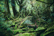 © Yosuke Kashiwakura - Forest