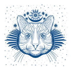 Wall Mural - Mystic magic cat. Portrait face head hand drawn vintage style.Line art ink painting.Graphic design tatoo.