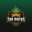 The Ducks epsort logo design illustration, Duck mascot logo design for gaming club