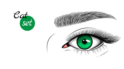 Vector icon of green female eye with extended eyelashes and eyebrow. Cat eye effect.