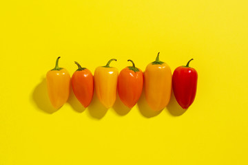 Сolorful yellow, red and orange mini bell peppers on a yellow background with copy space. Vegetables 