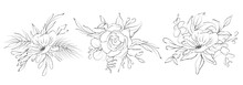 Botanical Sketched Floral Bouquets. Line Art Hand Drawn Plant