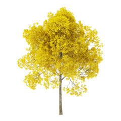 Wall Mural - Tree on a white background. Tree with yellow foliage. Clipping path included. 3D rendering.