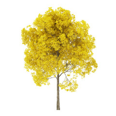 Wall Mural - Tree on a white background. Tree with yellow foliage. Clipping path included. 3D rendering.