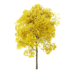 Wall Mural - Tree on a white background. Tree with yellow foliage. Clipping path included. 3D rendering.