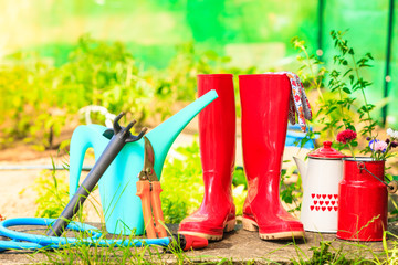 Gardening tools outdoor in garden