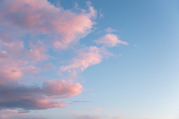 Wall Mural - dreamy sky background, one half with fluffy pink clouds and blue side with copy space