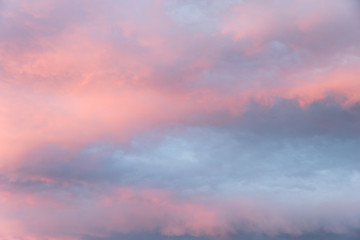 Wall Mural - fluffy pink clouds at sunset, sky background