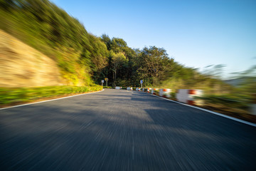 Wall Mural - road in the forest