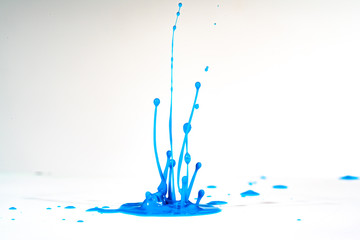 Wall Mural - splash of color ink on white background