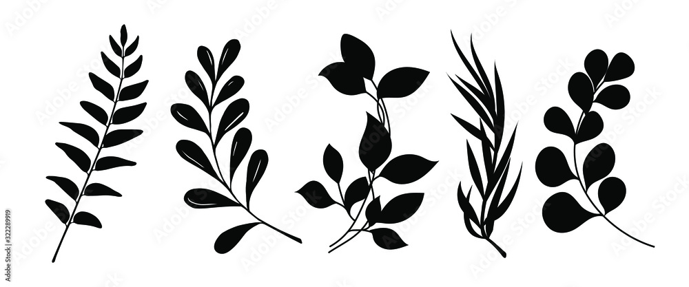 Set of leaves silhouette of beautiful plants, leaves, plant design. Vector illustration . - obrazy, fototapety, plakaty 