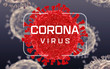 Corona virus. Close-up of virus cells or bacteria. Flu, view of a virus under a microscope, infectious disease. Germs, bacteria, cell infected organism. Virus H1N1, Swine Flu, 3d Rendering.