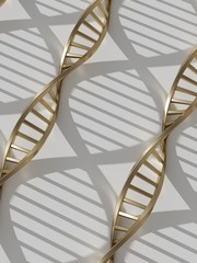 Canvas Print - Golden Metal Dna models with shadow line up on white background. Science and technology concept. 3d rendering - illustration.