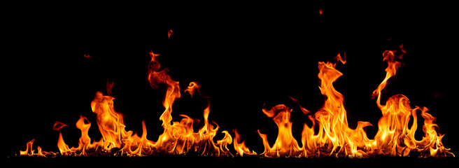 Wall Mural - On fire flames at the black background