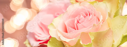 Fototapety róże  delikatne-bladorozowe-roze-idealny-na-kartki-okolicznosciowe-w-tle-i-zaproszenia-slubne-urodziny