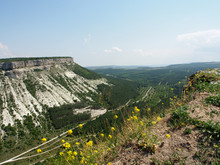 The Mountain Slope Is Covered With Dense Green Vegetation, Small Yellow Flowers Are Visible In The Foreground.