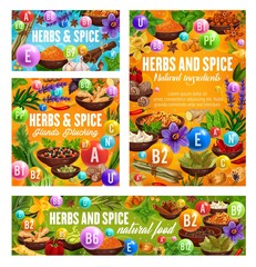 Canvas Print - Herbs and spices reach of vitamins vector design. Natural vegetable food, pepper, ginger and cinnamon, vanilla, garlic and nutmeg, star anise, chilli and thyme, rosemary, turmeric and saffron