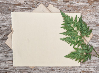 Old retro paper sheet on the vintage rustic wooden board with dry plant