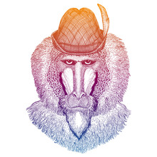 Vector Monkey, Baboon. Bavarian Traditional Hat. Tirol Austrian Hat. Beer Oktoberfest Character Portrait.