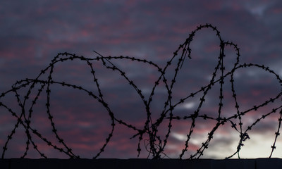 barbed wire on sky background