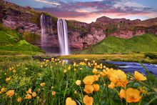 Incredible Sunset On Seljalandsfoss. One Of The Most Beautiful Waterfalls On The Iceland, Europe. Popular And Famous Tourist Attraction Summer Holiday Destination In On South Iceland. Travel Postcard.