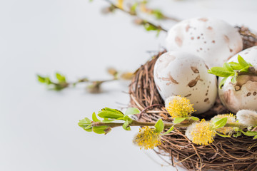 Wall Mural - composition with green buds on branches, decorative nest with easter eggs on a light background