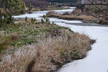 Sticker - The beauty of a clean river.