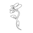 Abstract one continuous line art with botanical illustration with flower. Simple digital floral illustration. Vector graphic design download