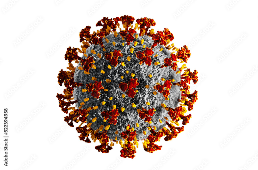 Detaillierter Corona Virus auf weißem Untergrund - Wuhan Virus	 - obrazy, fototapety, plakaty 