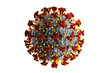 Detaillierter Corona Virus auf weißem Untergrund - Wuhan Virus	