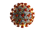 Fototapeta  - Detaillierter Corona Virus auf weißem Untergrund - Wuhan Virus	