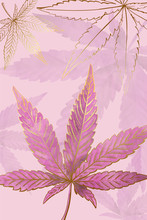 Beautiful Pattern Of Gold Cannabis Leaves. Pattern Of Pink Or Rose Marijuana Leaf On Black Background. Modern Illustration In Vintage Hand Draw Style.