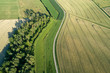 © Westend61 - Germany, Bavaria, Franconia, Aerial view of green fields and dirt road