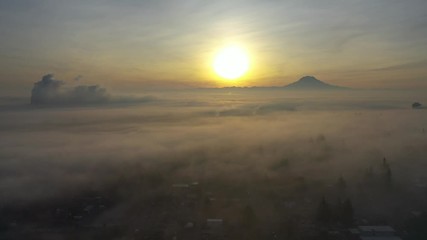 Wall Mural - Tacoma Fog