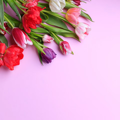 Poster - Spring season abstract background. Multicolored tulips frame on pink surface. Mother's day, Women day, seasonal concept. Copy space.