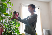 Young Woman Spraying Plant Leaves With Water In Apartment Living Room