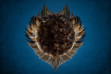 The Background Is Blue With A Texture On Which Lies A Basket With Brown Feathers In The Shape Of A Heart. Newborn Digital Background  Feathers