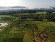 A top down aerial view of a paddy field with farmers at work. Located in the Skuduk , Sarawak, Malaysia.General scenery of a paddy field, huts, trees and farmers.