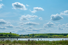 View Of Lake With Stump Against Cloud Sky