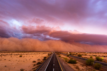 Wall Mural - dust storm in the desert