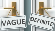 Vague Or Definite As A Choice In Life - Pictured As Words Vague, Definite On Doors To Show That Vague And Definite Are Different Options To Choose From, 3d Illustration