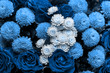 Leinwandbild Motiv Bouquet of roses and chrysanthemums close up. Beautiful blue flower background. Floral backdrop. 